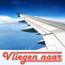 Het logo van VliegenNaar