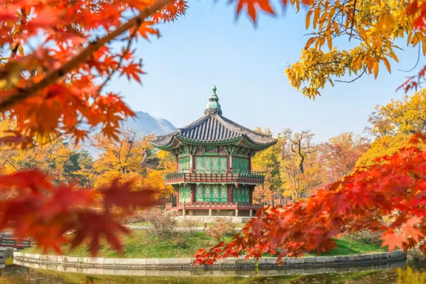 Stedentrip Seoul