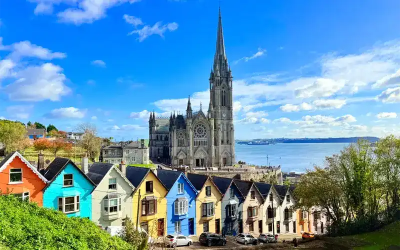 Cork