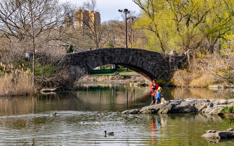 Stedentrip New York met kinderen