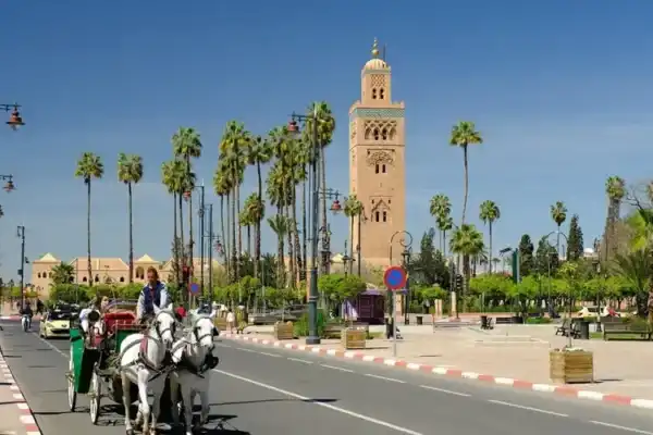 Stedentrip Marrakech